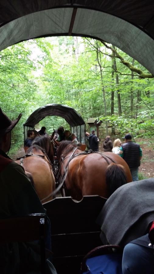 Stara Papiernia Zielony Lasek Krutynski Piecek Esterno foto
